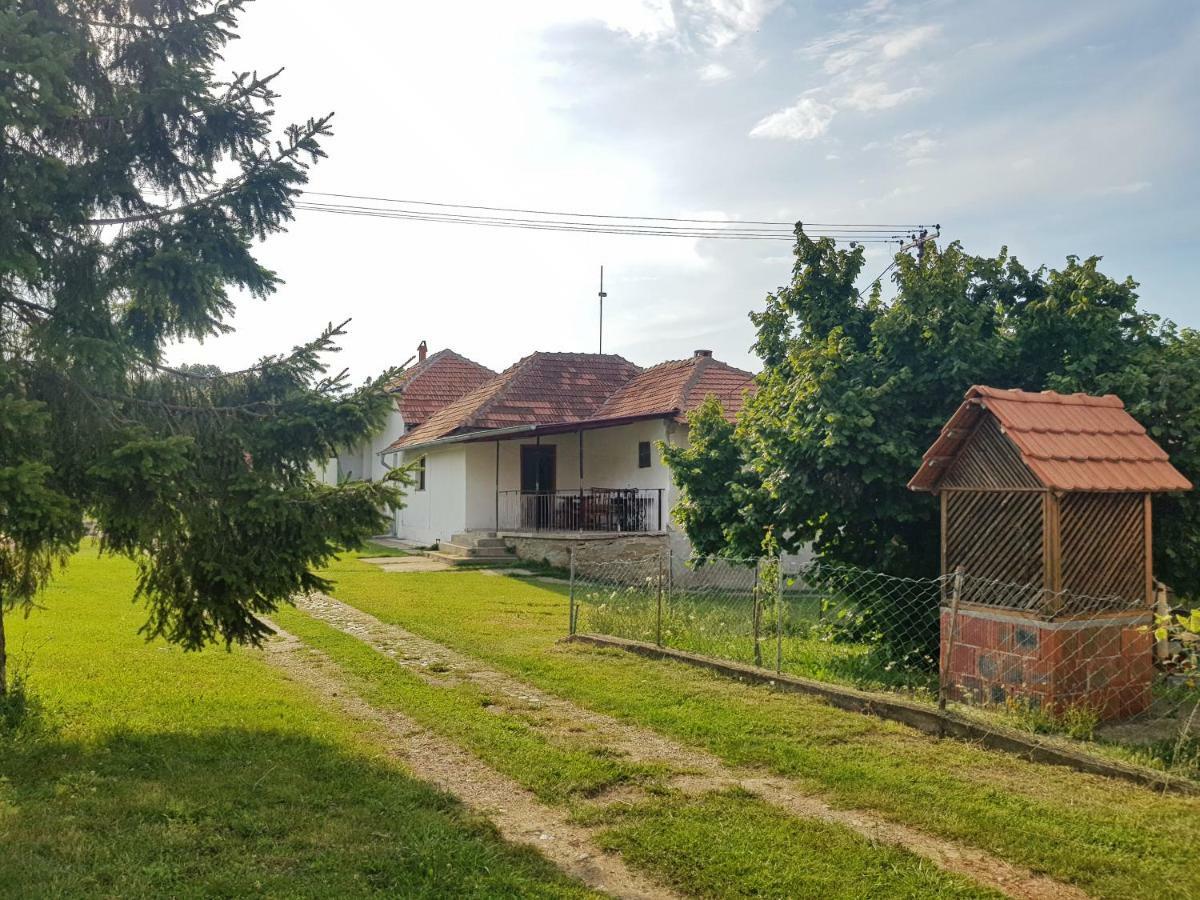 Green Apartments Kursumlija Exterior photo
